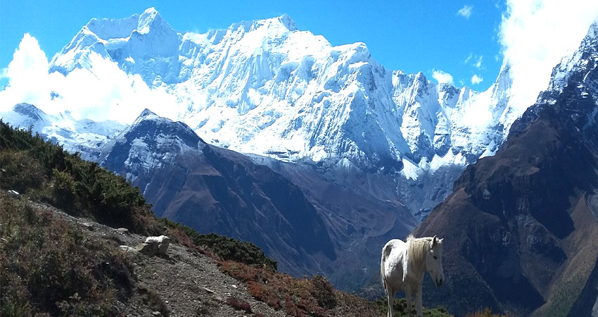 Annapurna round trek