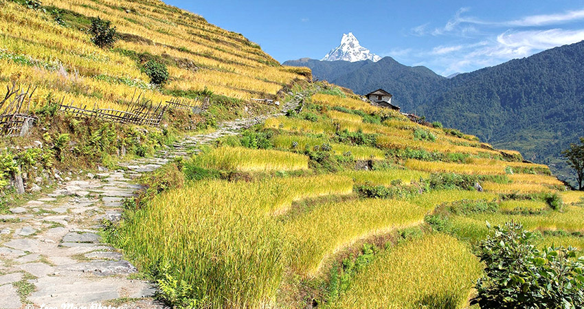 Annapurna luxury trek