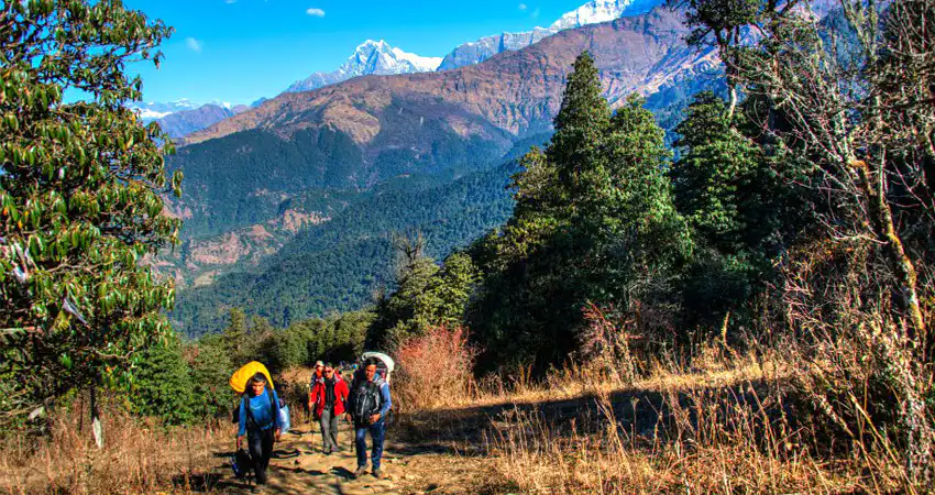 Trekking guide/porter hiring