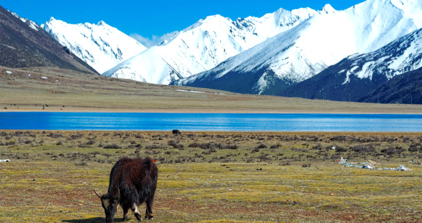 best time to visit tibet