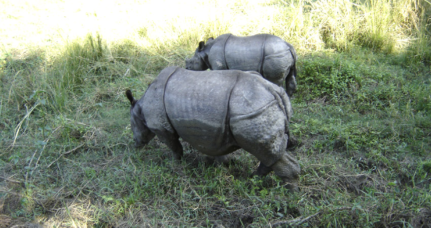Kathmandu Pokhara Chitwan tour