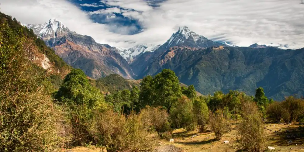 Poon Hill short trek
