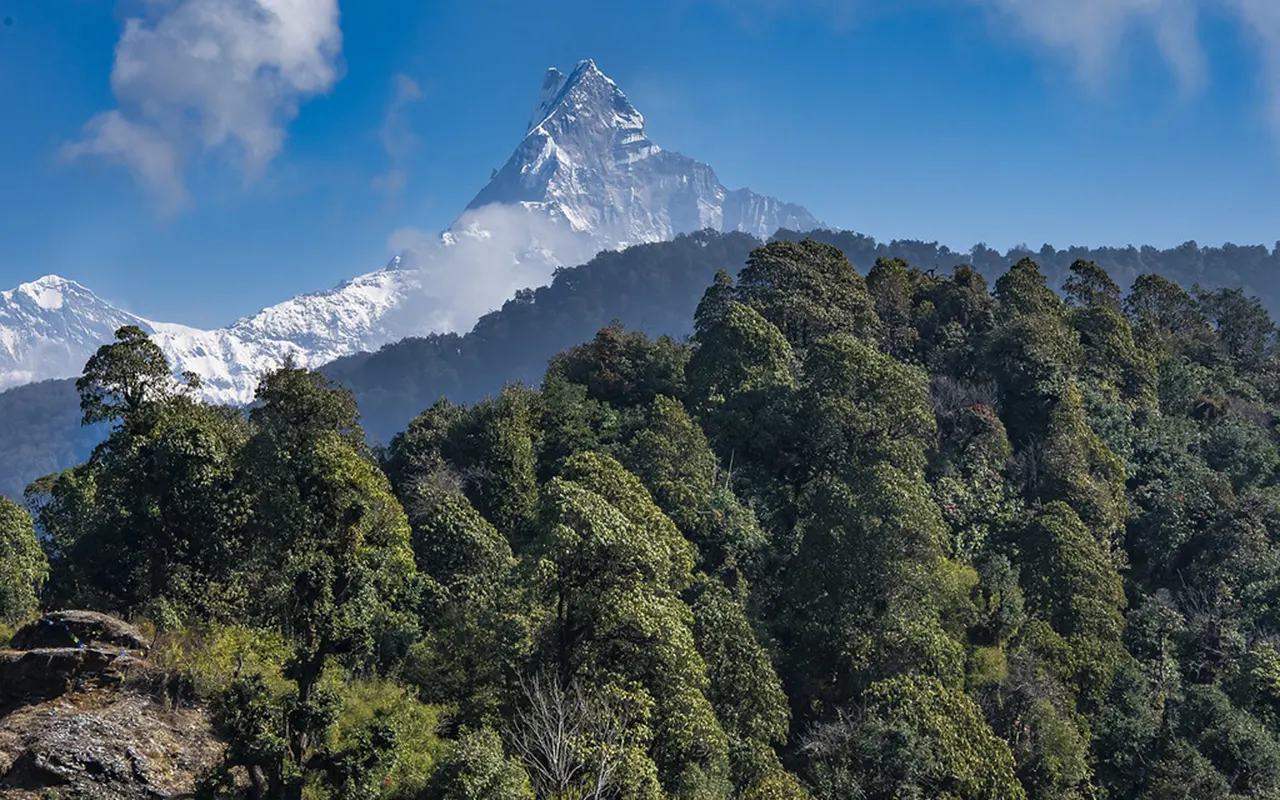 Mardi Himal Trek Forest Trail